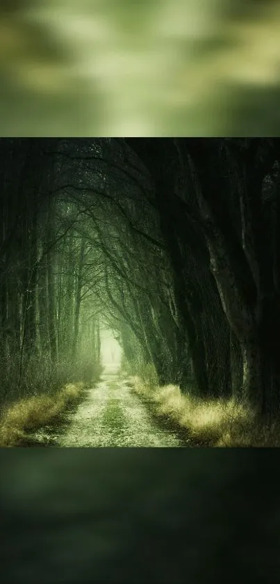 A mystical forest path with lush green foliage for a mobile wallpaper.