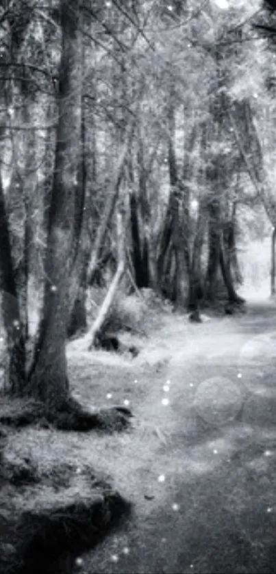 Black and white forest path wallpaper with trees lining the way.