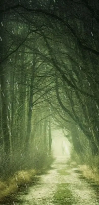 A mystical forest pathway with radiant green trees and sunlight.