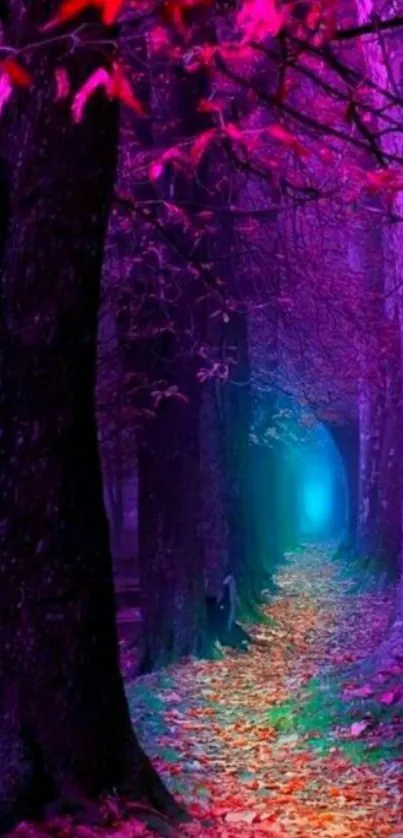 Mystical forest pathway with purple hues and glowing light.