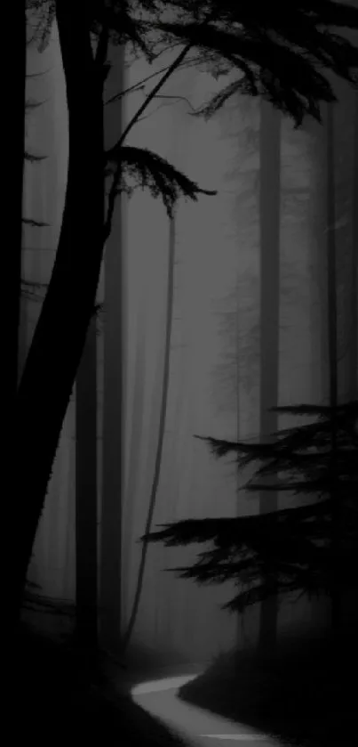 A dark, mystical forest path mobile wallpaper.