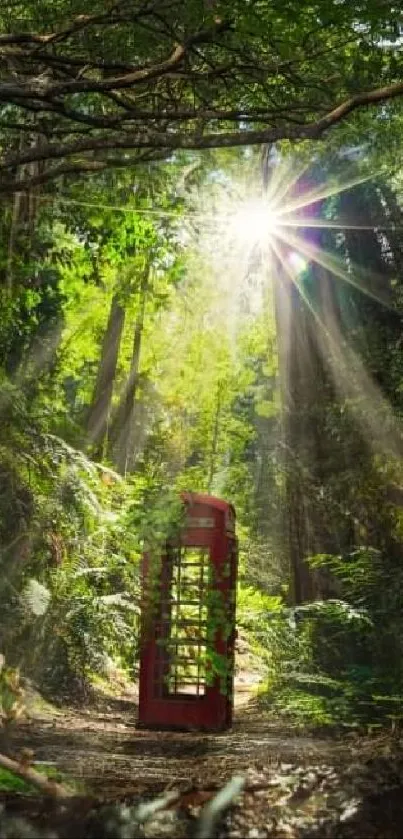 Red phone booth in sunlit green forest with mystical atmosphere.