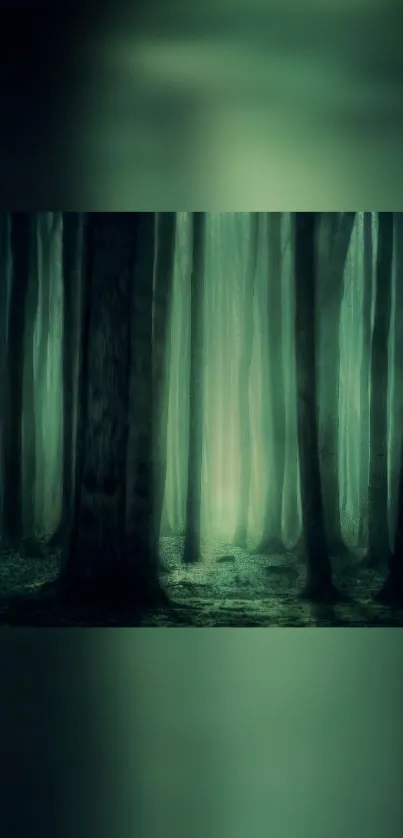 Mystical forest scene with tall trees and green hues, perfect for mobile wallpaper.