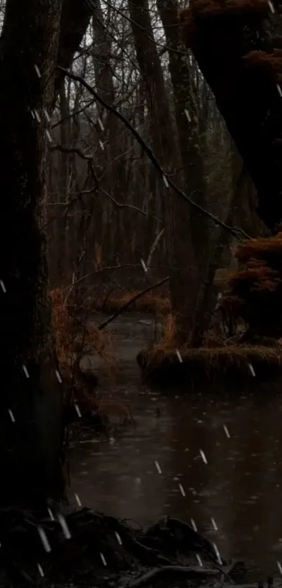 Dark forest scene with rain falling gently.