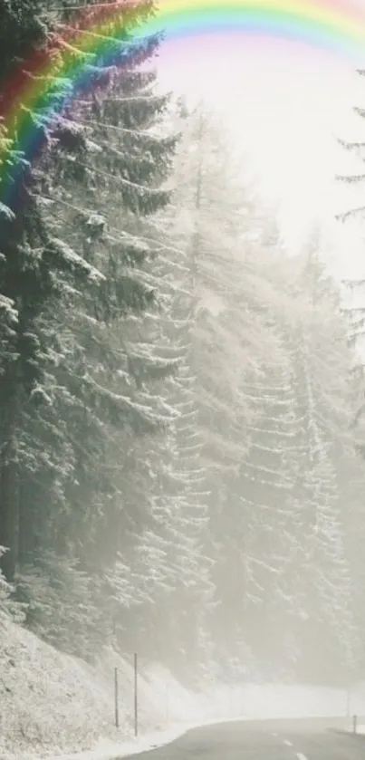 Foggy forest road with vibrant rainbow above.