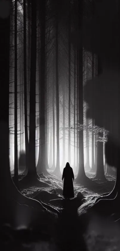 Silhouette in a mystical black and white forest.