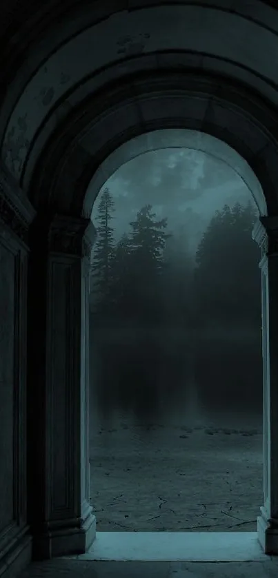 Mystical dark forest seen through an ancient archway under night sky.