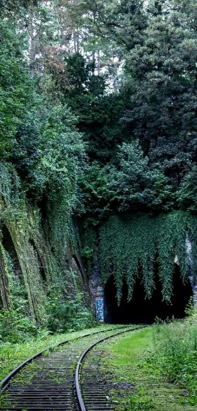 Lush green forest with a railway leading into a dark tunnel.