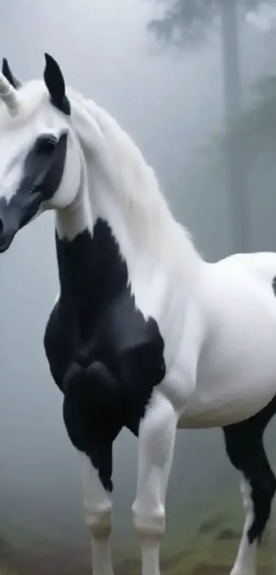 Majestic unicorn in a misty forest setting.