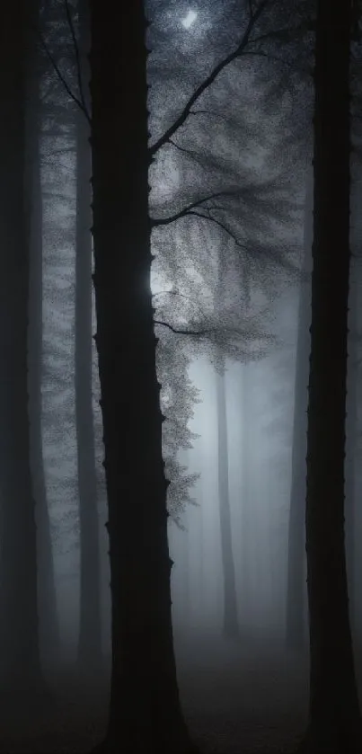 Dark misty forest with towering trees.