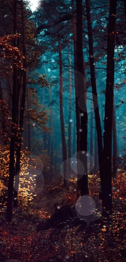 Mystical forest wallpaper with tall trees and foggy ambiance.