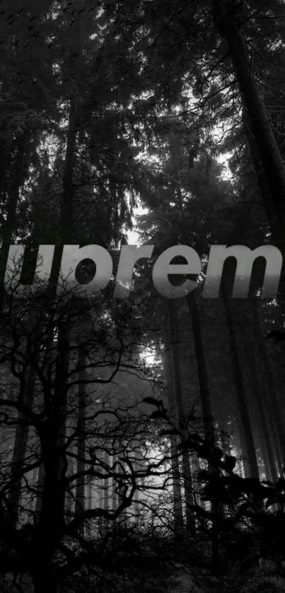 Black and white forest wallpaper with a mystical vibe and Supreme text.