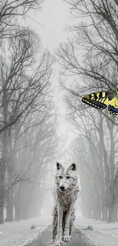 Wolf on a forest path with butterfly in winter landscape.