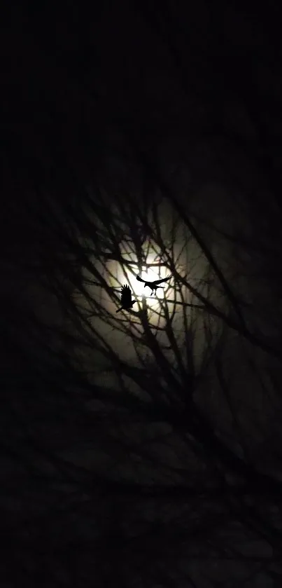 Silhouette of a bird against the full moon and dark branches.