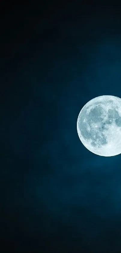 Full moon against a dark blue night sky.