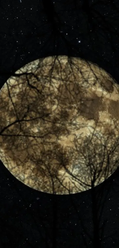 A full moon with tree silhouettes against a starry night sky.