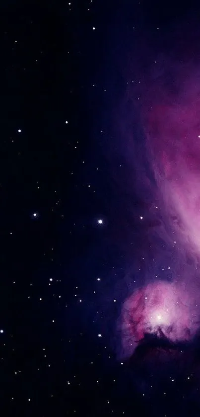 Vivid galaxy wallpaper with stars and purple nebula for mobile phones.