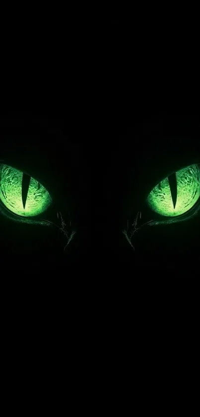 Mystical glowing cat eyes on dark background.