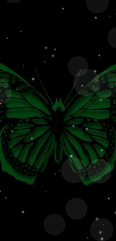 Green butterfly against a dark starry background.