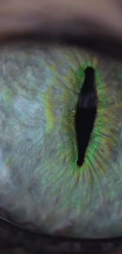 Close-up image of a mystical green eye with intricate details.