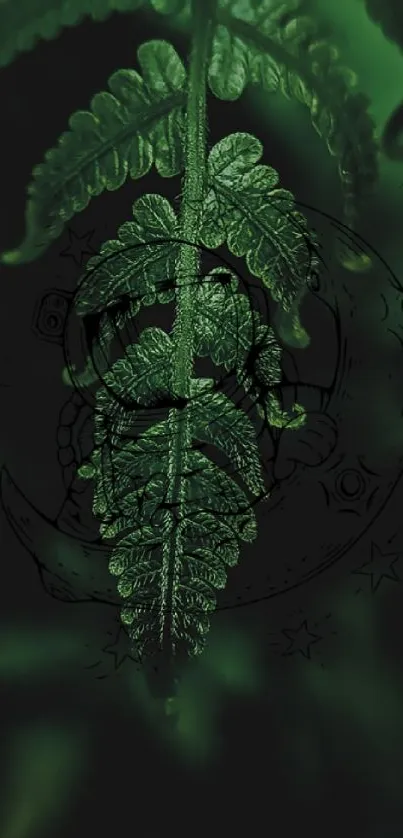 Mystical green fern with artistic symbols on dark backdrop.