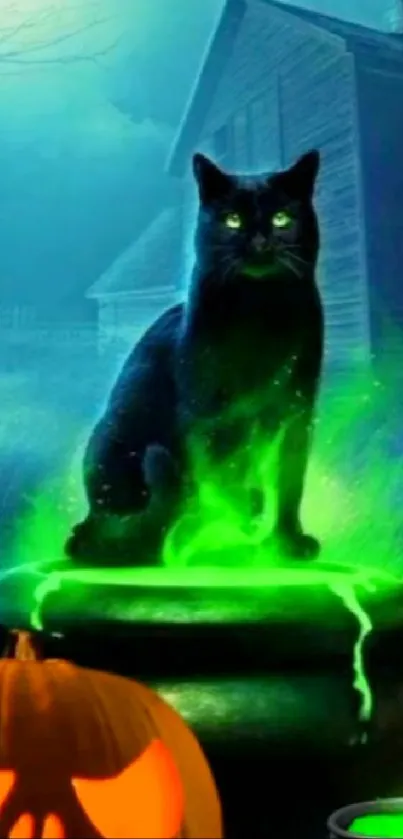 Halloween wallpaper with black cat, glowing cauldron, and spooky moonlit scene.