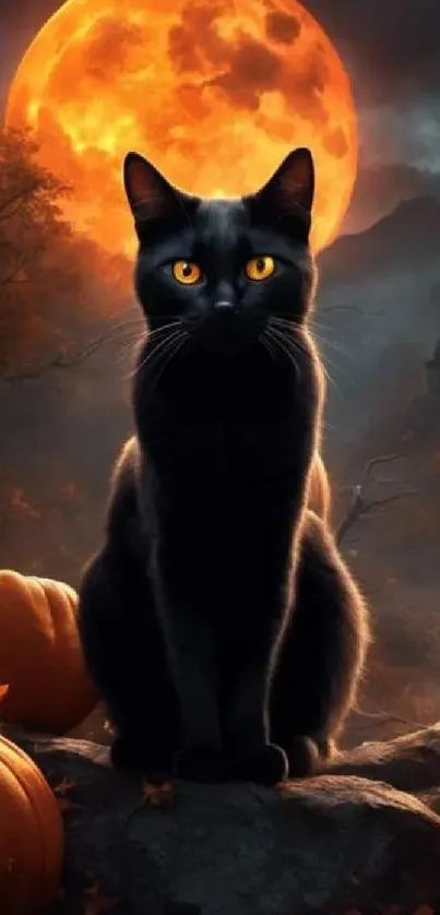 Black cat with glowing eyes in front of a full moon and pumpkins, Halloween theme.