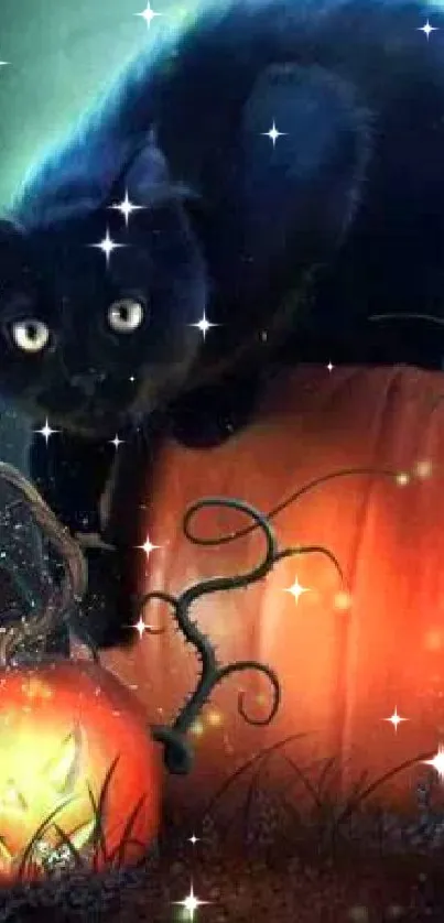 Black cat on glowing pumpkins with a mystical Halloween backdrop.