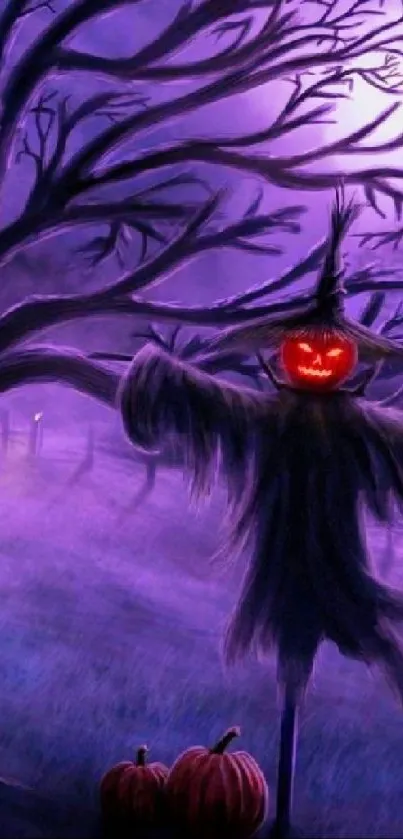 Purple Halloween night wallpaper with scarecrow and pumpkins.