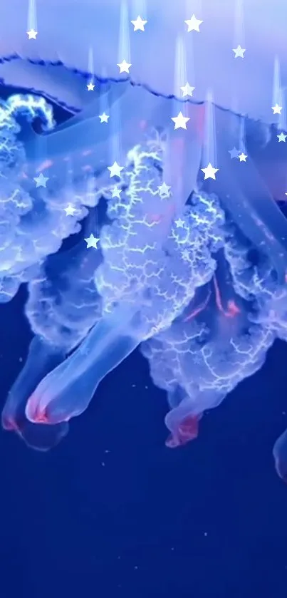 Mystical glowing jellyfish with stars on a blue background wallpaper.