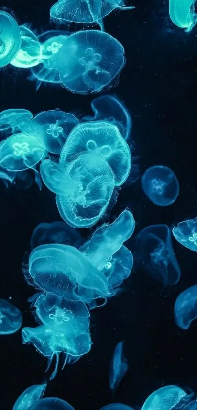 Bright blue jellyfish swimming in the ocean.