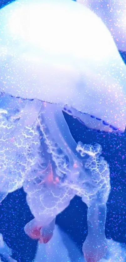 Ethereal jellyfish glowing in mystical blue waters.