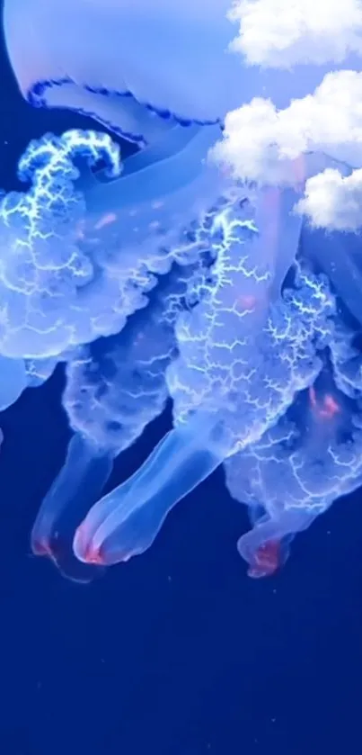 Vibrant blue jellyfish with clouds on dark background.