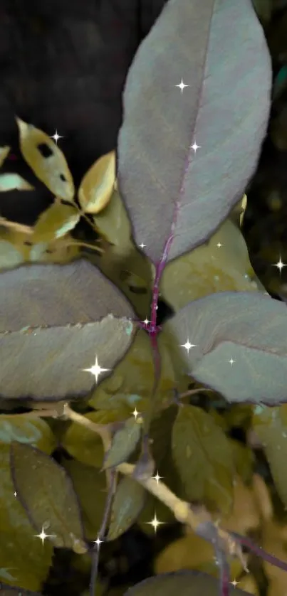 Mystical leaves with sparkling highlights on dark green background.