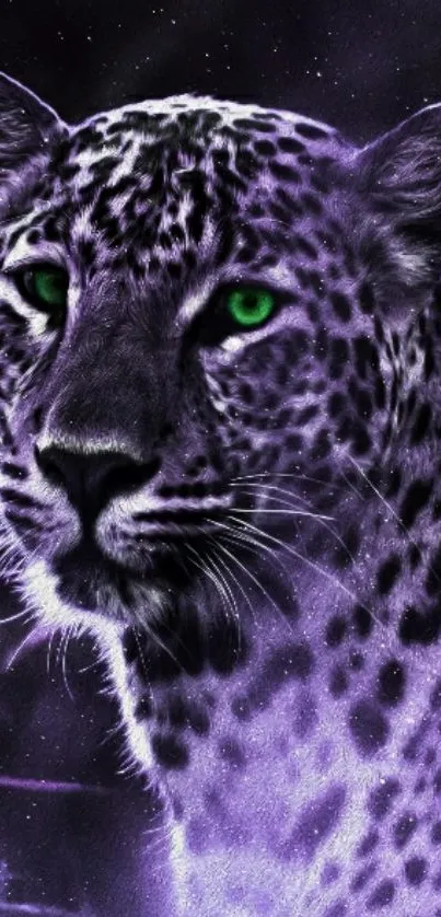 Leopard with green eyes on a mystical purple background.