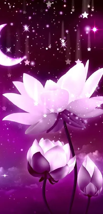 Mystical lotus blooms under a crescent moon in a dreamy purple night sky wallpaper.