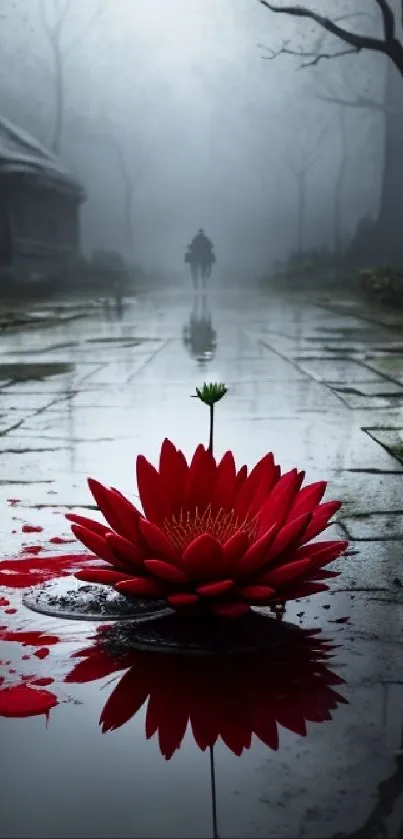 Red lotus reflecting in water on misty street wallpaper.