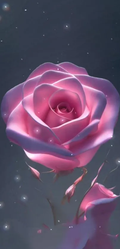 Mystical pink rose against a starry night backdrop.