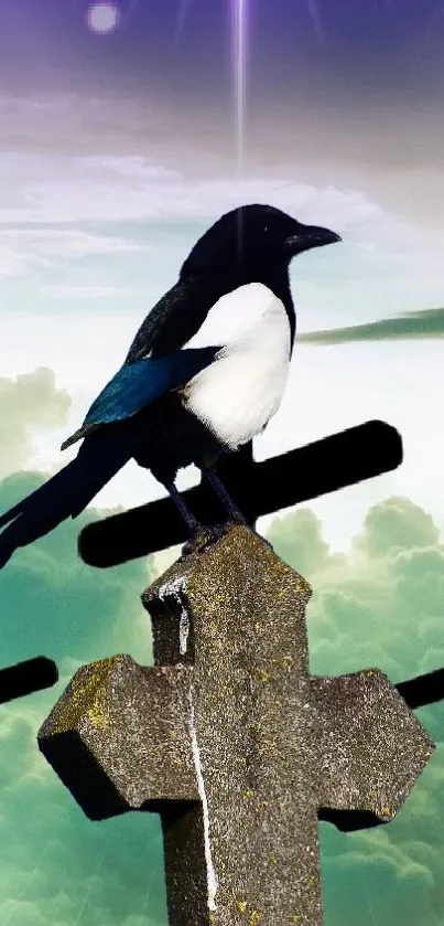 Magpie perched on a cross in a mystical sky scene.