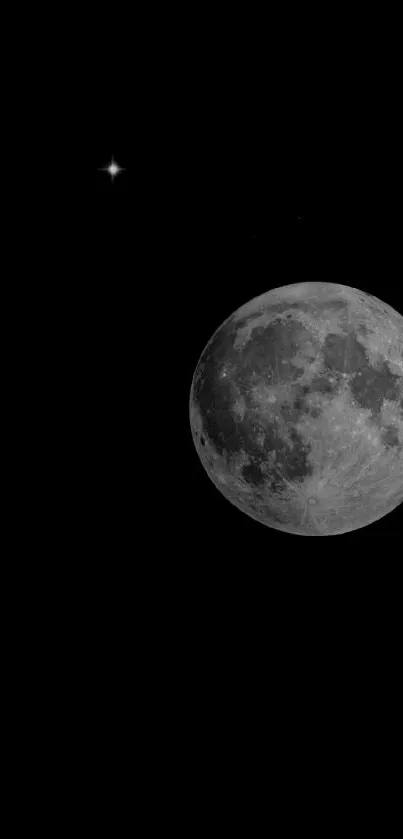 Dark sky with a luminous full moon and star.