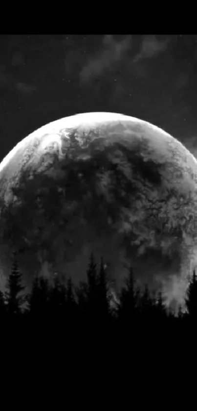 Black and white moon over forest wallpaper.