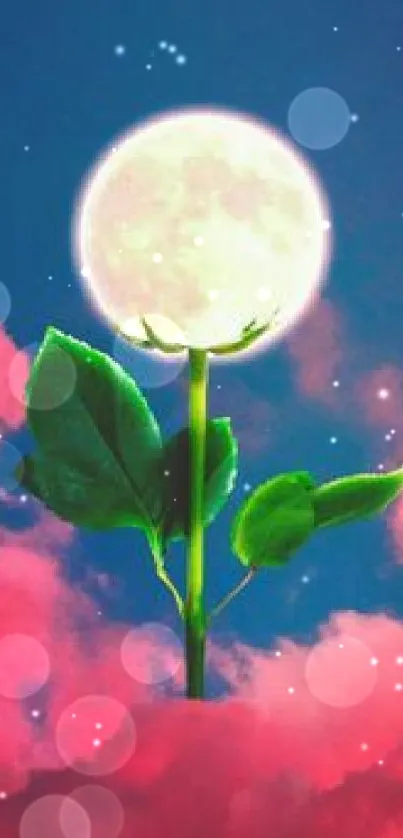Moon flower with pink cloud background wallpaper.