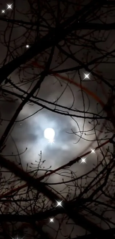 Moonlit branches against a dark, cloudy sky with a mystical glow.