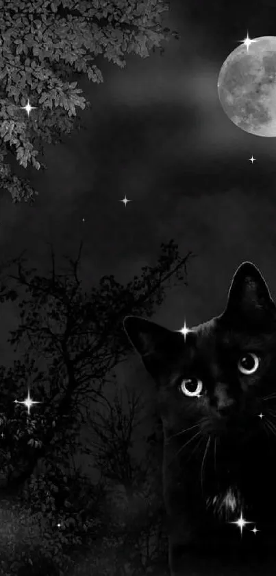 Black cat beneath a full moon in a dark, misty forest night setting.