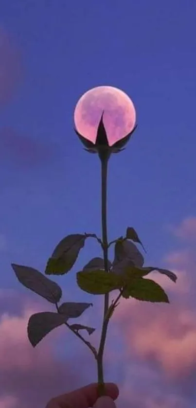 Moon flower with a serene twilight sky background.