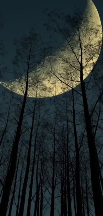 Moonlit forest with crescent moon and towering trees, creating an eerie night scene.