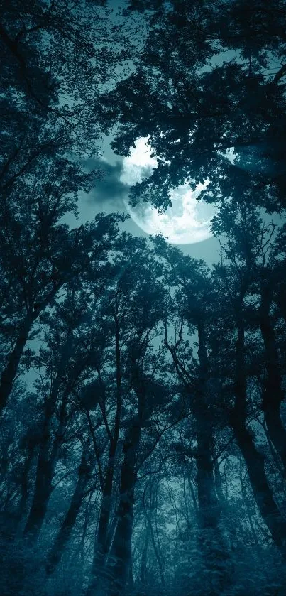 Mystical moonlit forest with towering trees silhouetted against a glowing night sky.