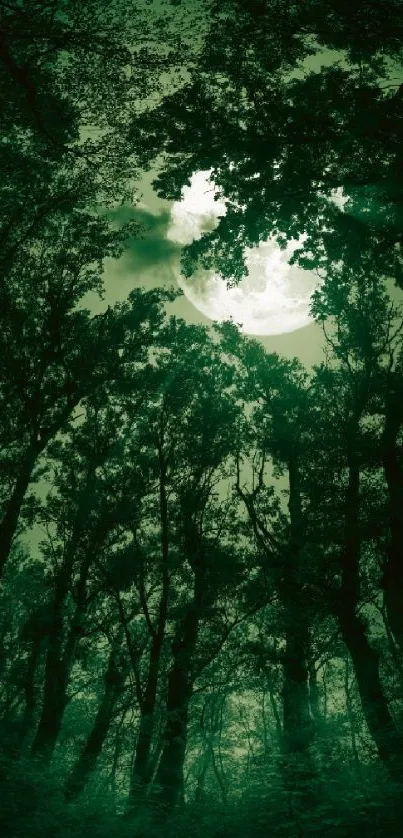 Mystical moonlit forest with a green hue.