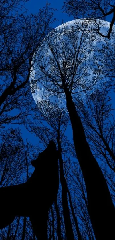 Silhouetted wolf under a moonlit forest canopy with a starry sky.