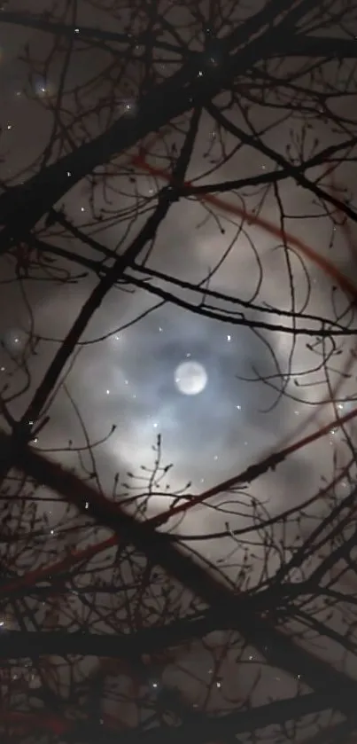 Moonlit forest with branches and night sky.